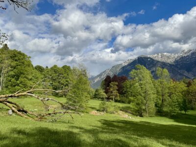 IMG_6763